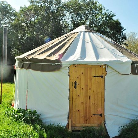 ホテル Worcester Glamping エクステリア 写真